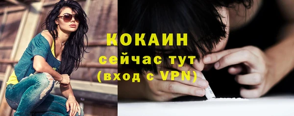 дживик Няндома