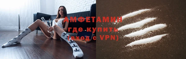 дживик Няндома