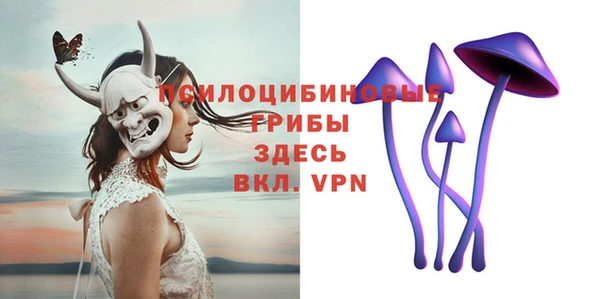 меф Новодвинск