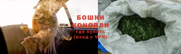 дживик Няндома