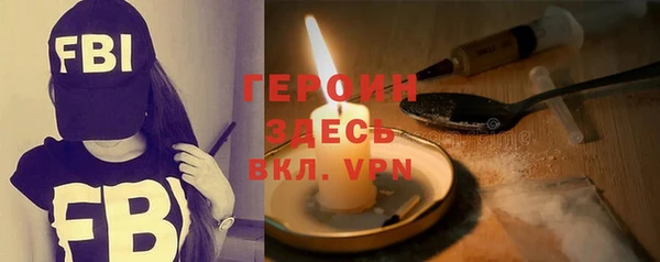 дживик Няндома