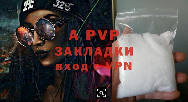 дживик Няндома