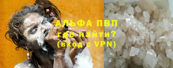 дживик Няндома