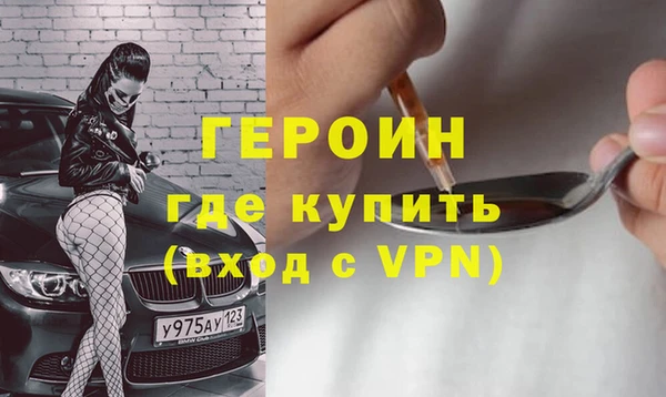 дживик Няндома
