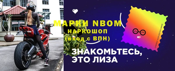 дживик Няндома