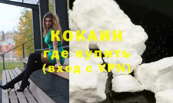 дживик Няндома