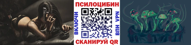 наркота  Бабаево  Псилоцибиновые грибы ЛСД 