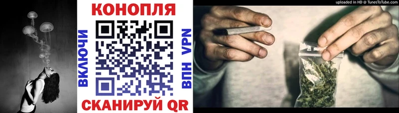даркнет сайт  Бабаево  mega   Бошки Шишки тримм 